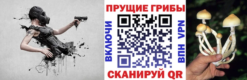 Галлюциногенные грибы Psilocybe  где найти наркотики  Судак 