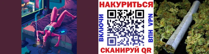 Бошки Шишки ГИДРОПОН  Судак 